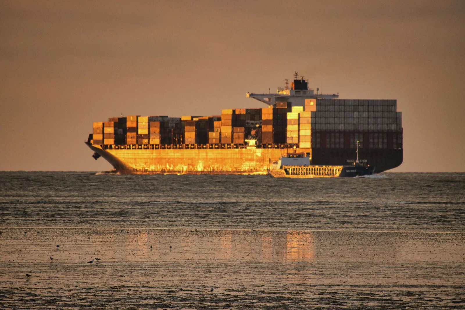 Containerschiff im goldenen Abendlicht
